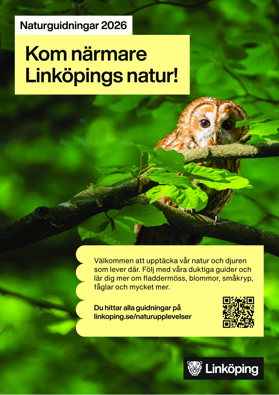 Kom närmare Linköpings natur! Naturguidningar 2026.