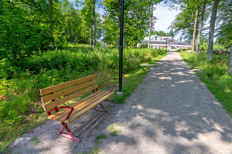 Foto: Piotr Wawrzyniuk