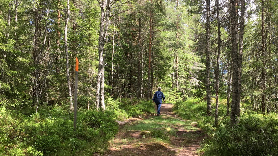 Vandringsled, Ritamäki Nord