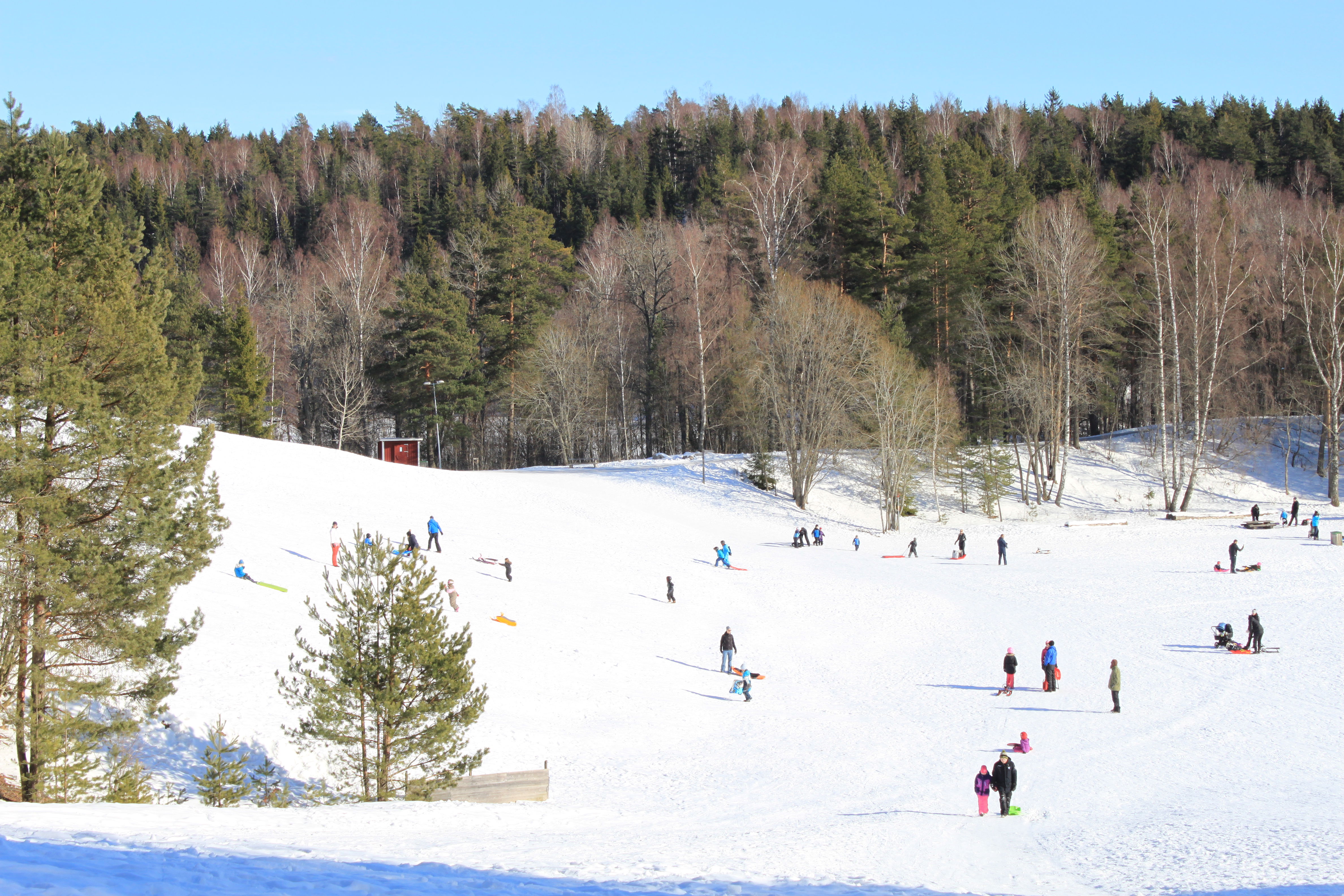 En brant pulkabacke som leder ner till en stor öppen yta. Det är snö på marken och många människor på området.