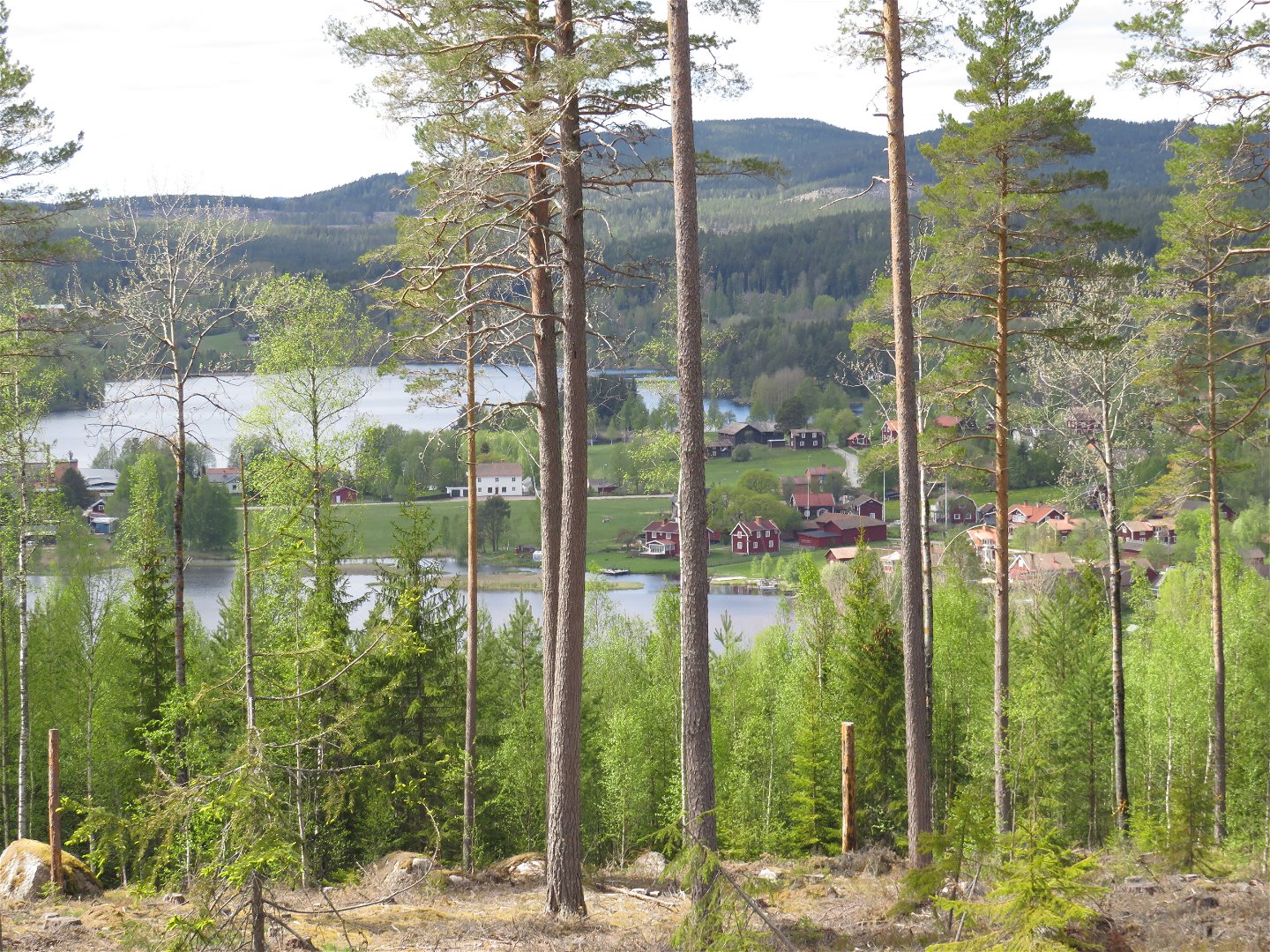 Utsikt över Heden i Övertänger. Foto Anders Vestlund