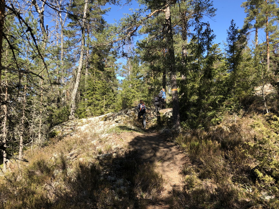 Leden till vindskyddet