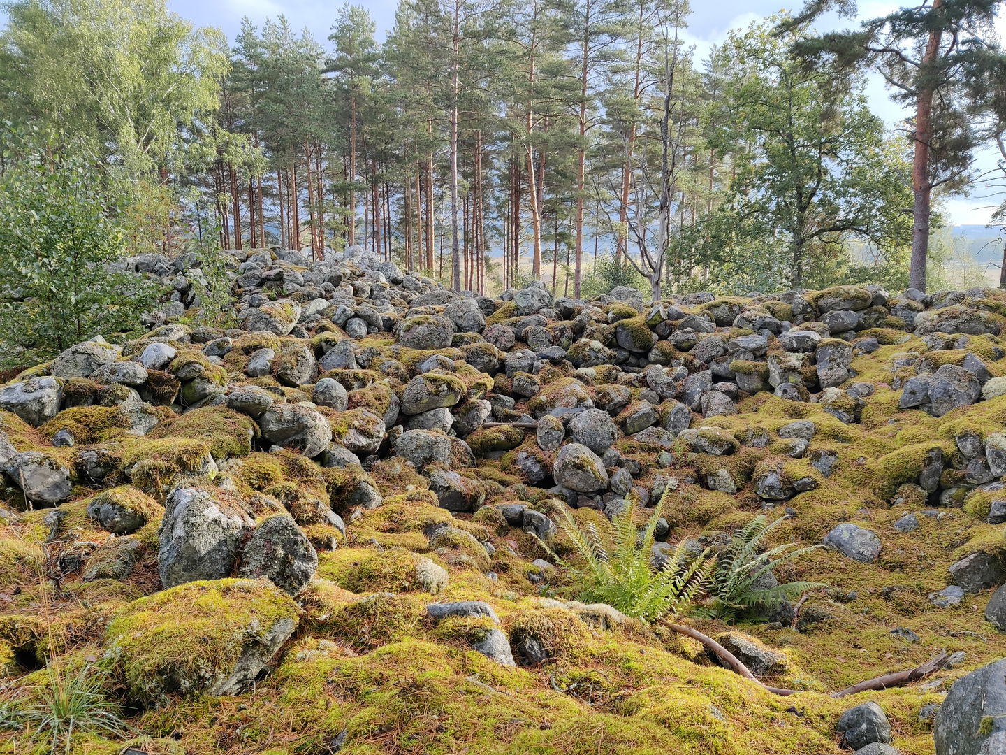 Bronsåldersröse vid Asker