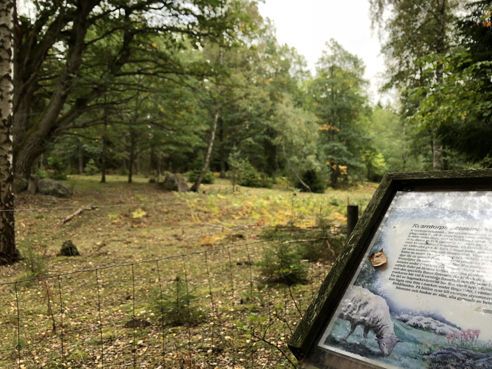 En informationsskyld invid en betesmark.