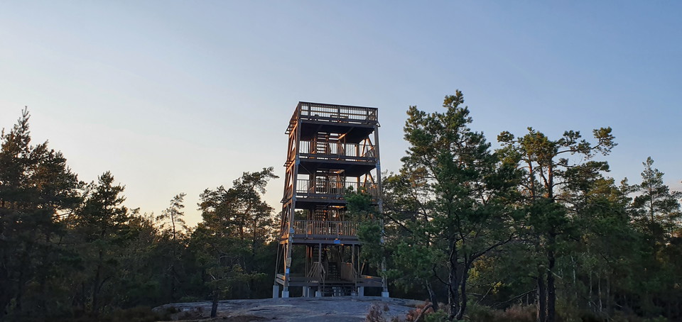 Ett torn byggt av träd med tre våningar. Tornet sticker upp precis ovanför träden.