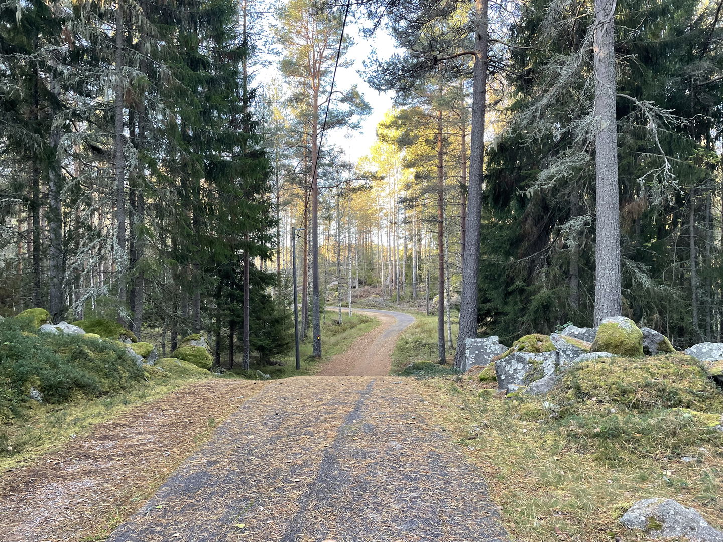 2,5 km spår med hälften asfalterad yta och hälften bärlager. Motionsspåret går i skogsmiljö. 