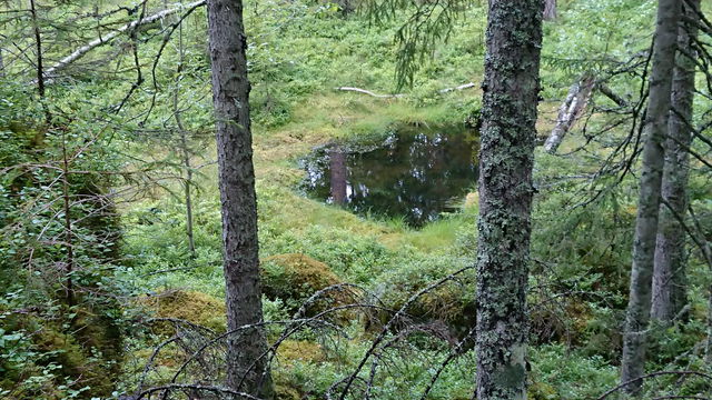 Vattenkälla nedanför Häståsen