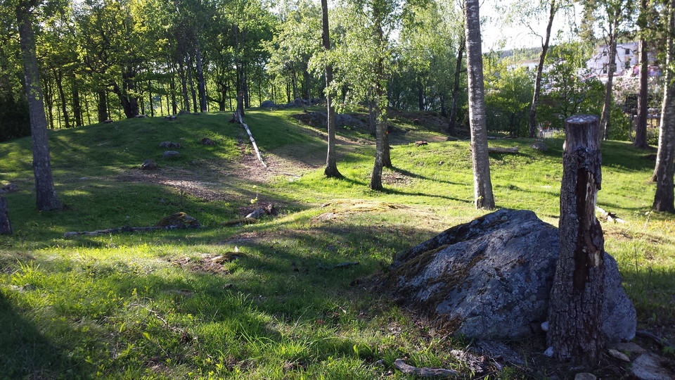 Skälby gravfält.
