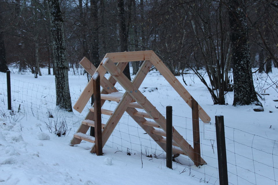 Stängselövergång in i hagen