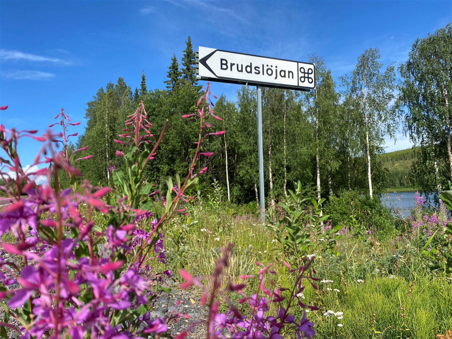 Längs med väg 835 finns denna skylt som pekar mot Brudslöjan