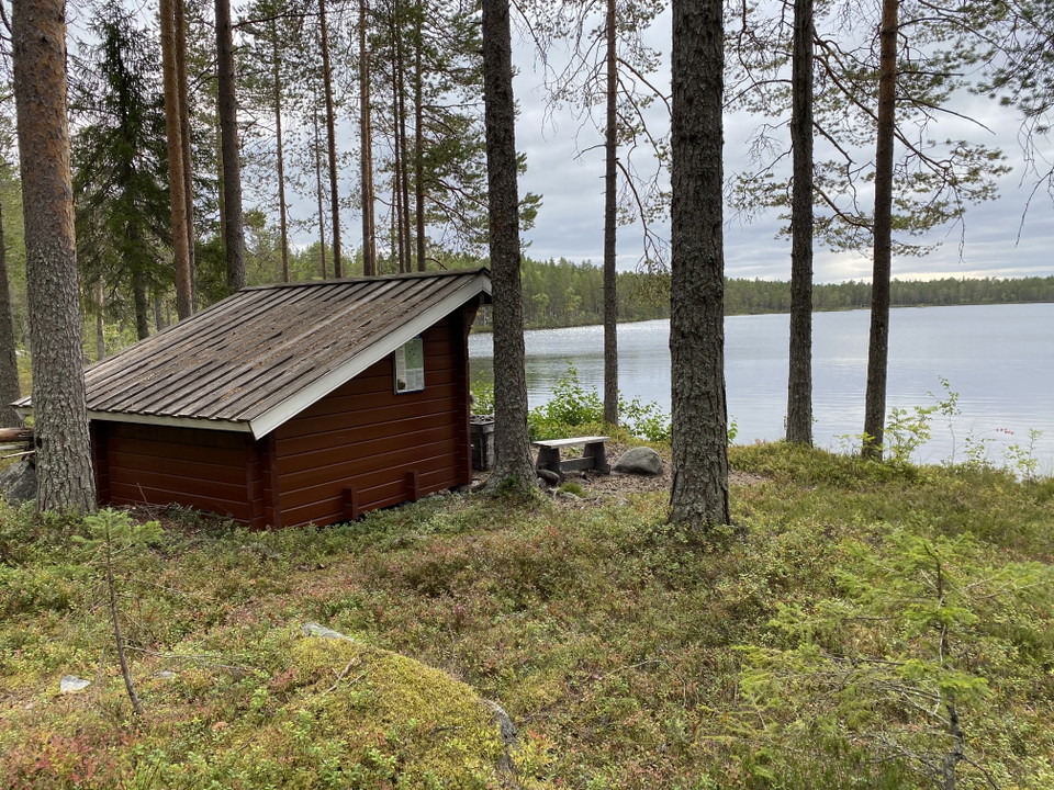 vindskydd i gles barrskog vid en sjö.