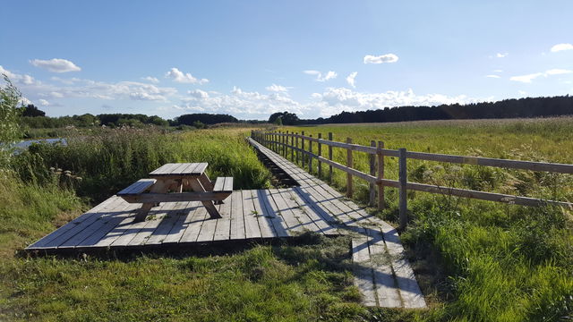 Rastplats, Gröngarnsåsen och Dyarna