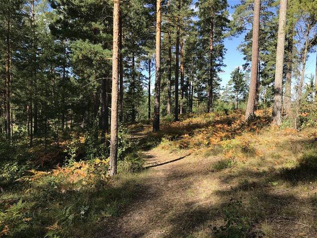 Kisa-Pinnarp, Östgöta trail