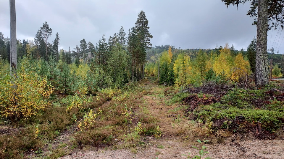 Kårböle Elljusspår