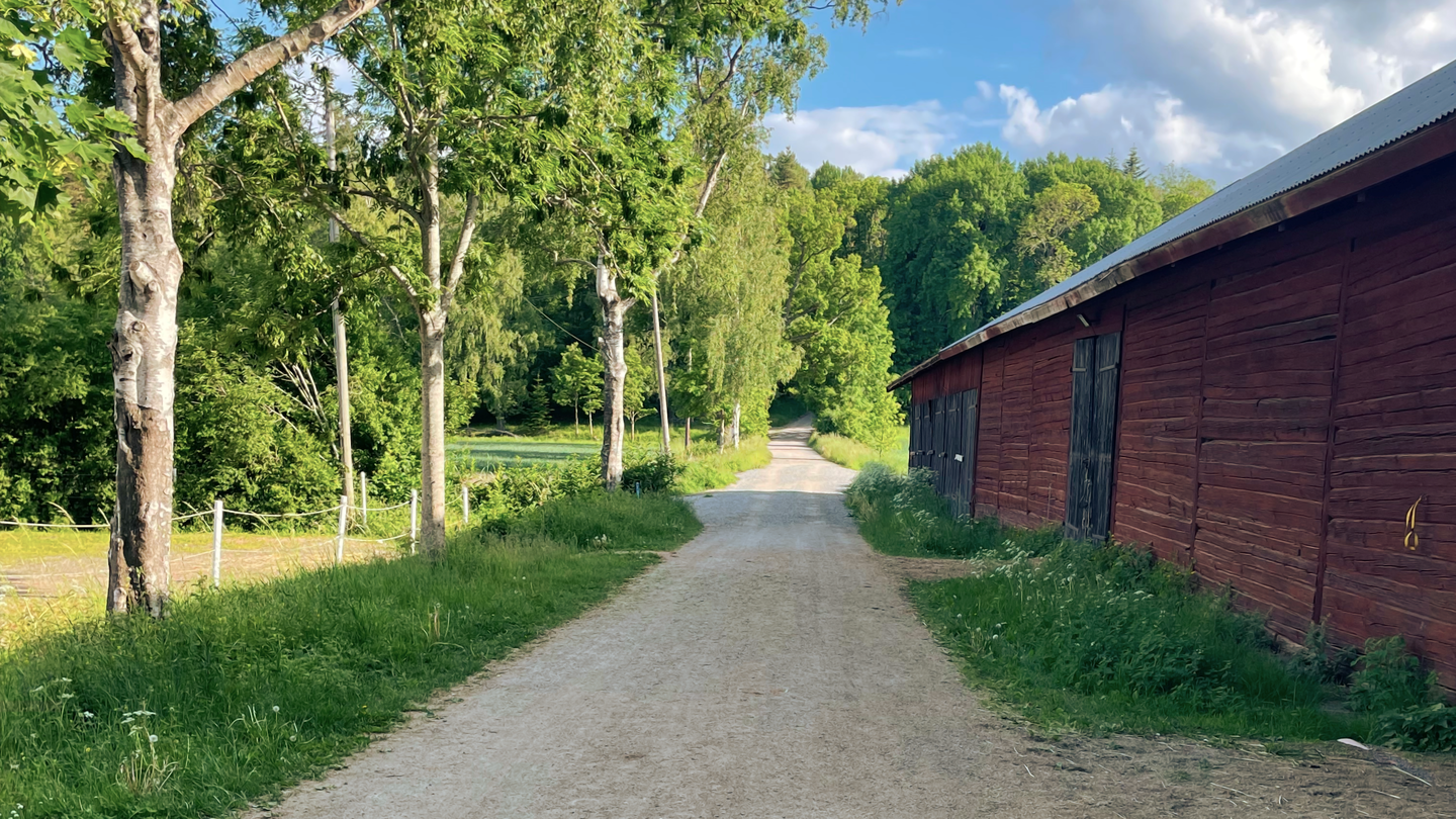 Grusväg mot grönskande skogsparti. På högra sidan står en röd lada med fyra svarta portar. 