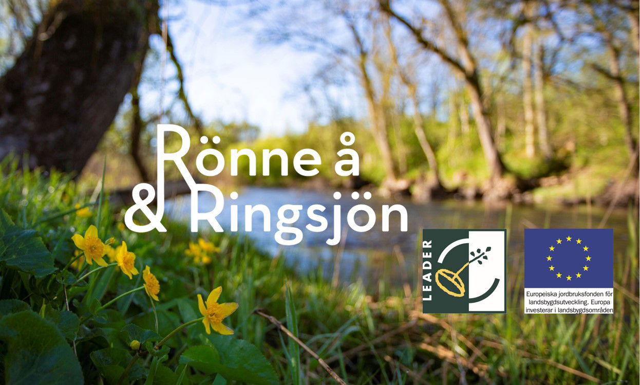 Om destination Rönne å och Ringsjön