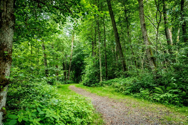 Vinberg naturreservat