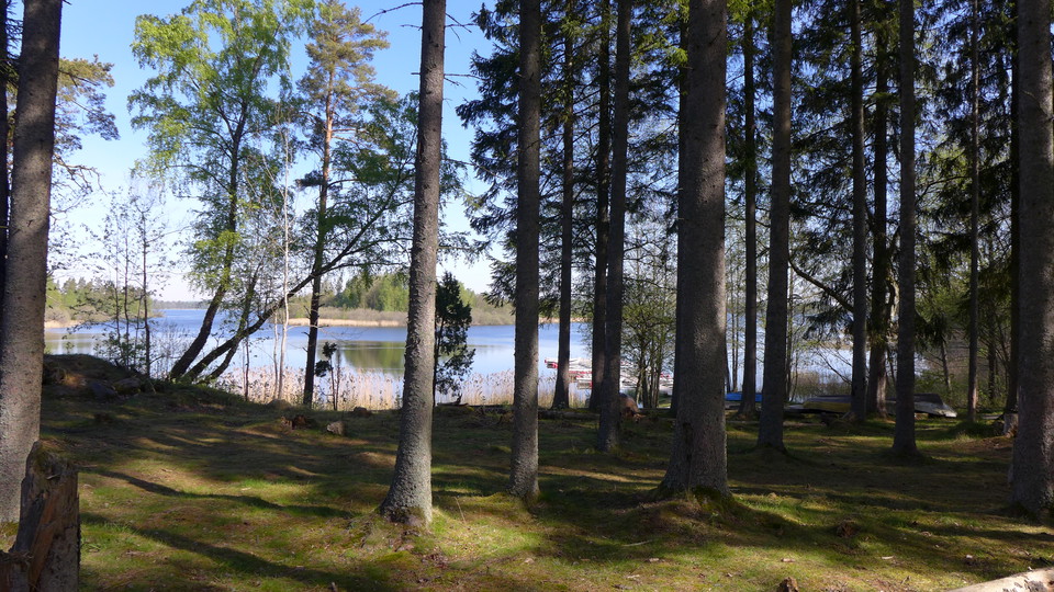 I naturreservatet Bokhultet