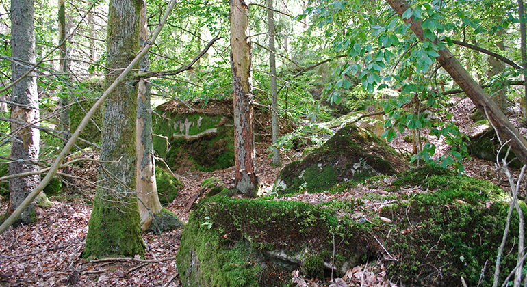 Stenblock i skogen.