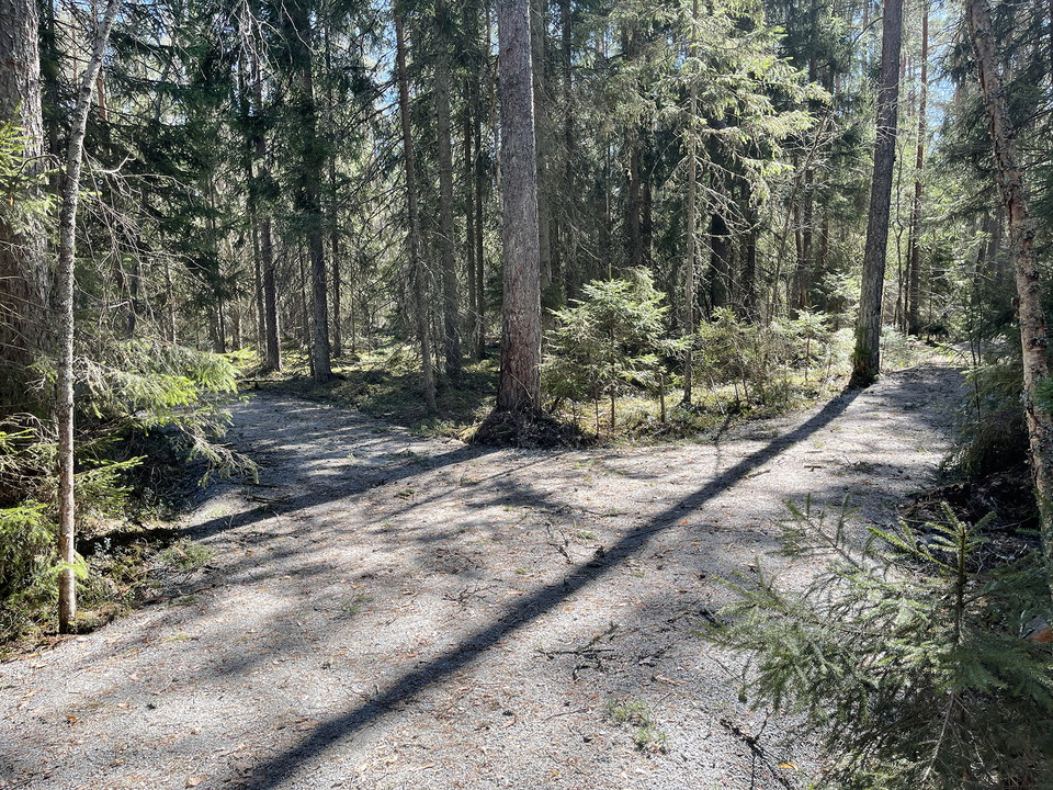 Grusad stig som grenar sig.