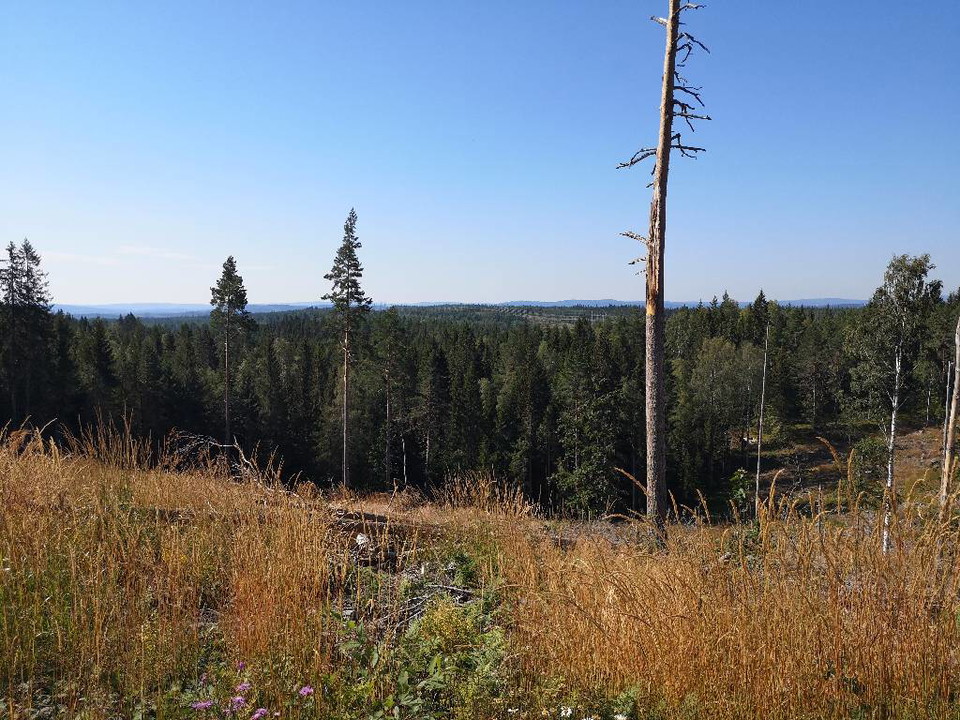 Vy över vidderna norrut