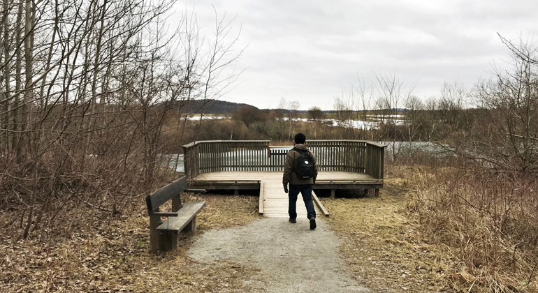 Tillgänglighetsanpassad utsiktsplattform.
