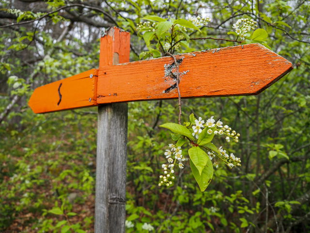 Lilla fornborgsrundan (Millsjön runt) ca 4,5 km