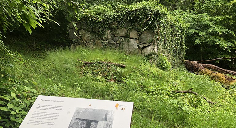 Ruin sophus, Torsebro.