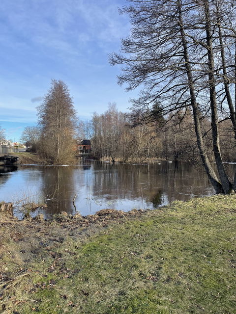 Bild från södra delen av Svartån Tranås vid vägbro.