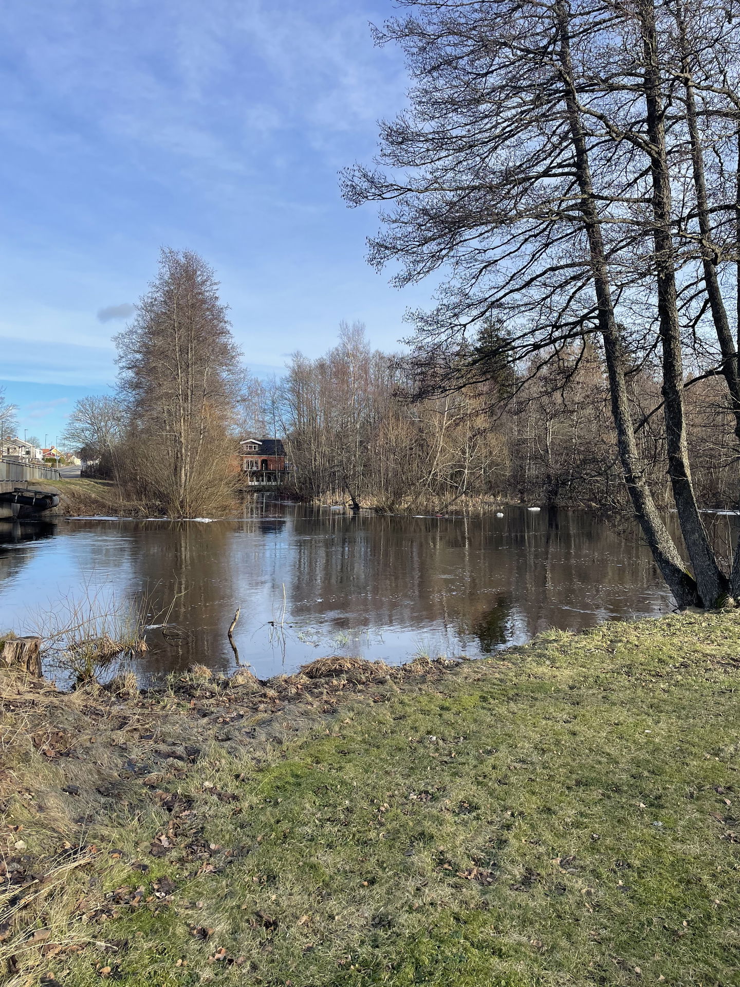 Bild från södra delen av Svartån Tranås vid vägbro.