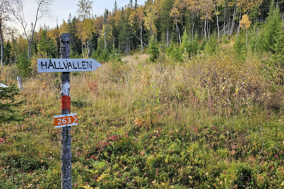 Skylten 263 visar dig stigen uppåt