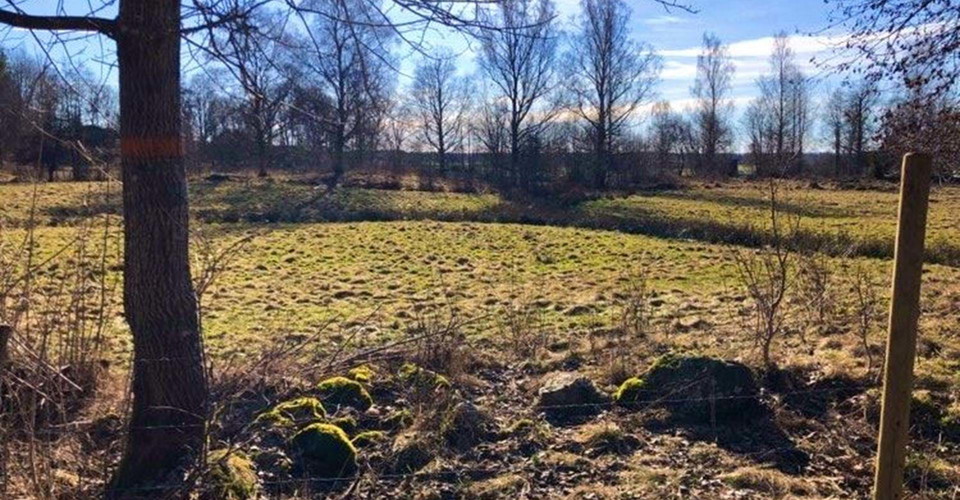 Rundslinga i Tjällmoskogarna.
Motala.