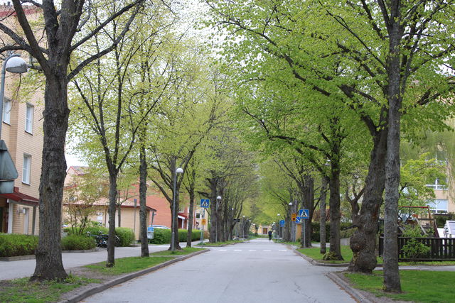 Bergshamra allé