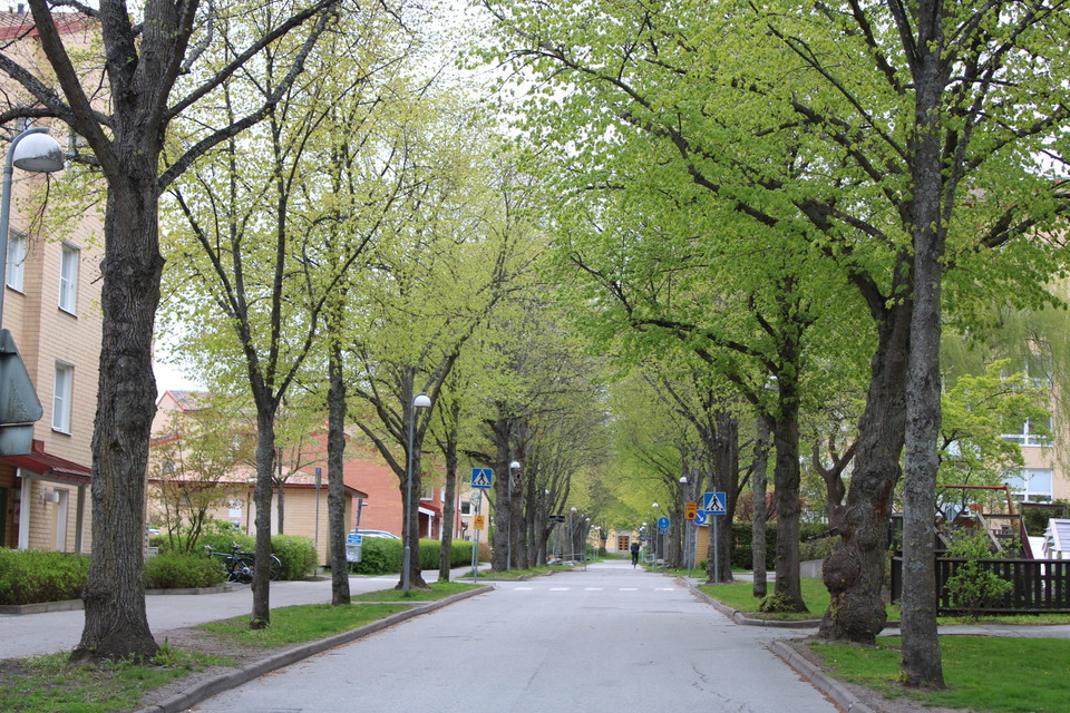 Bergshamra allé.