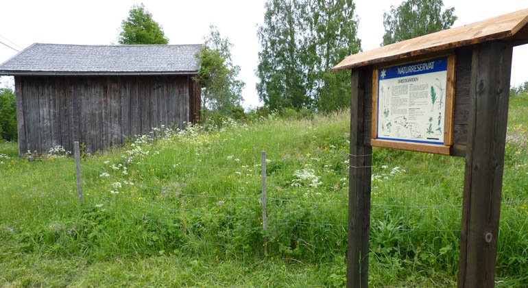 Smedsgårdens naturreservat.