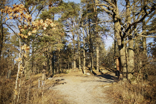 Veddesta motionsspår