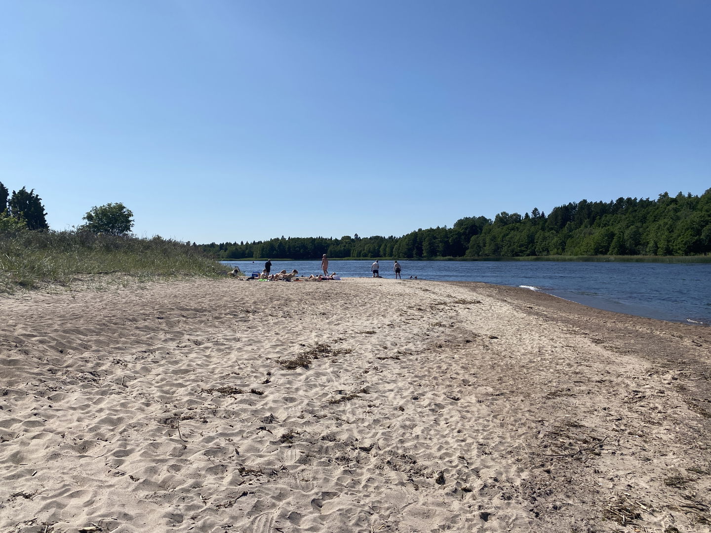 Strand vid hundbad