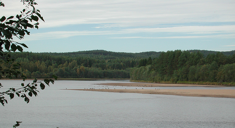 Ginbergsängen, Naturreservat