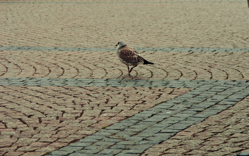 Mostphotos/bildochfoto