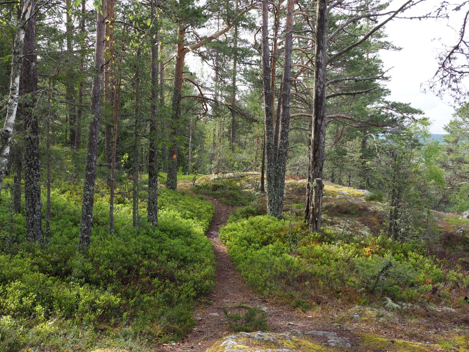 Stigen på berget