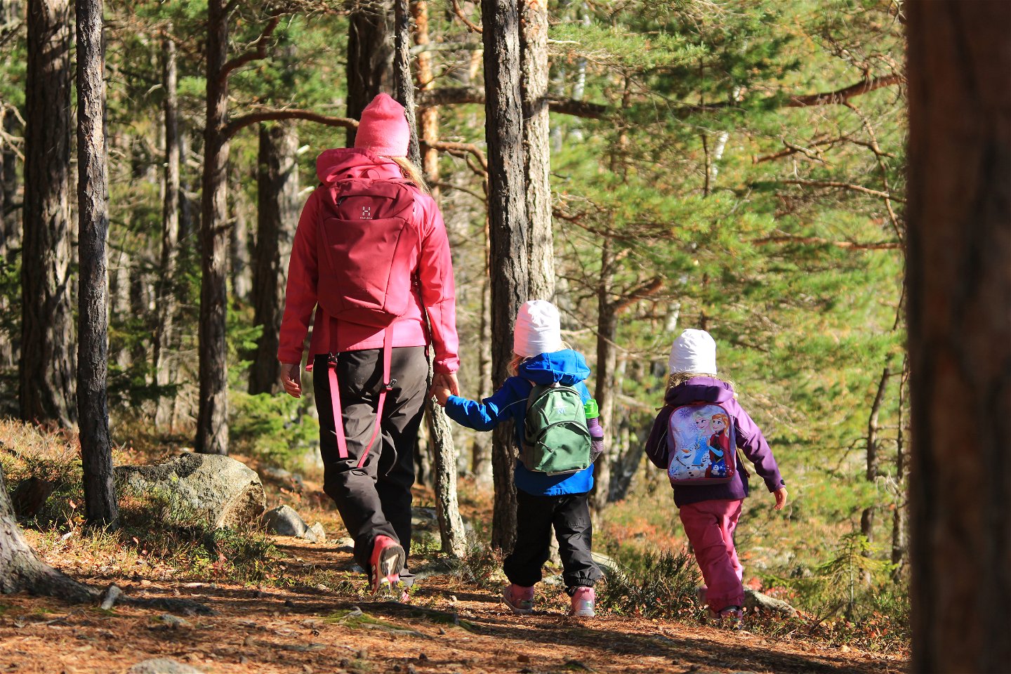 Skogarna i Farstanäs och Yttereneby naturreservat har höga naturvärden. De är lummiga och rika på svamp och bär.