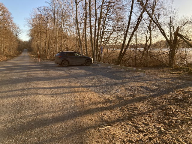 Parkering, Hasselhorn