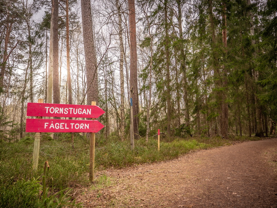 Vandringsleden till Tornstugan
