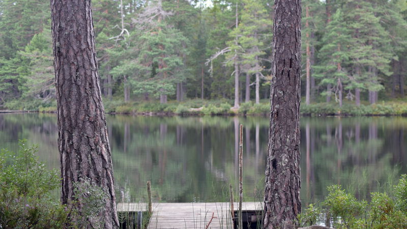 Fisklösenområdet (Fish stocking area)