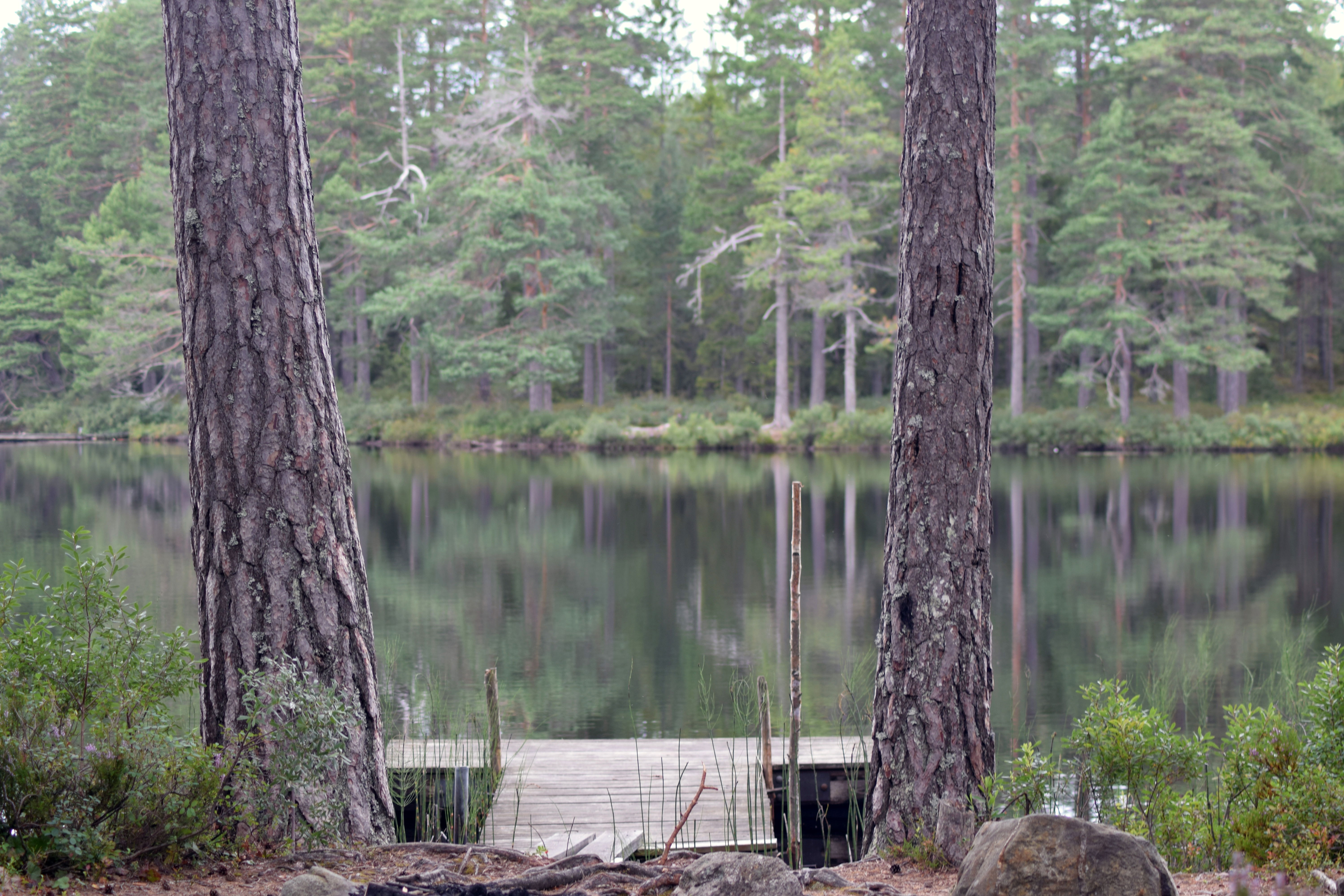 49. Fisklösenområdet