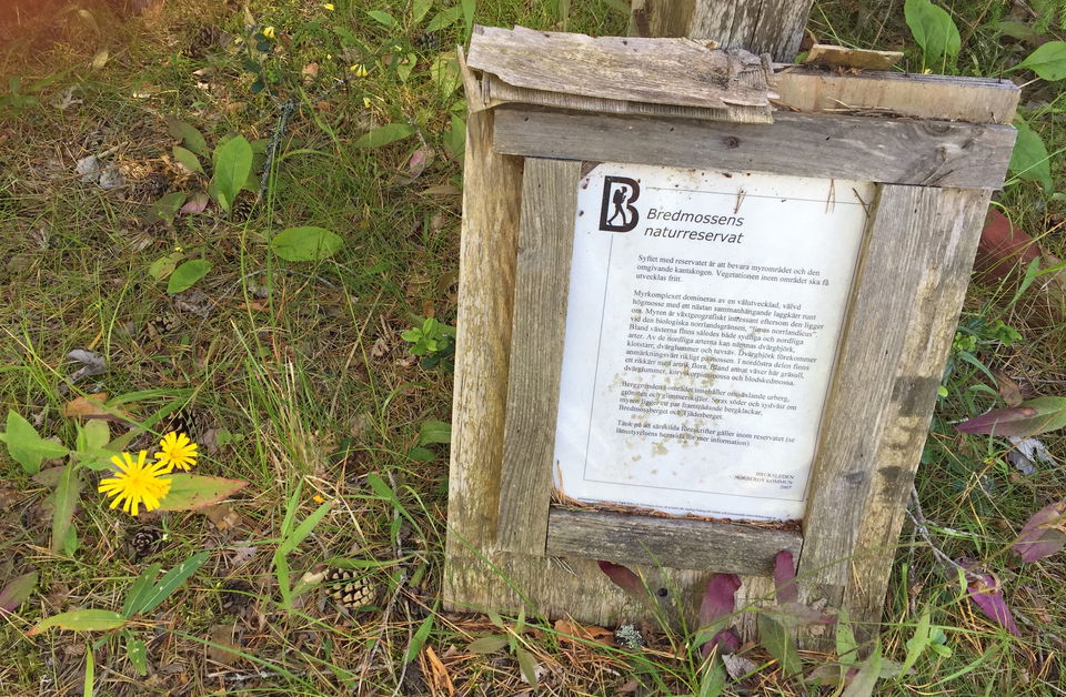 Informationstext om Bredmossens naturreservat.
