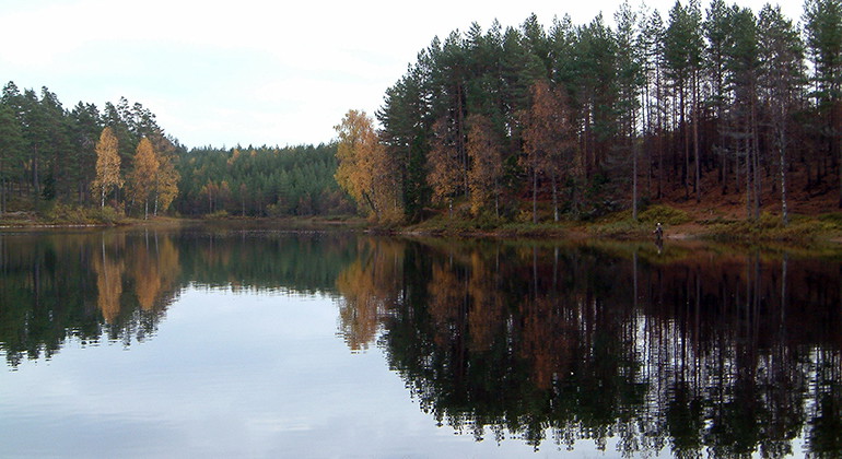 Prinsasjöarna