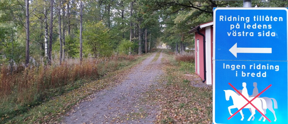 Sikabacken i Ingelstad