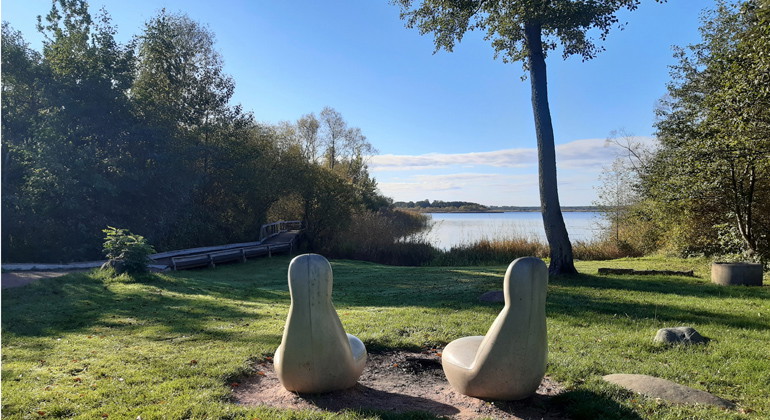 Utsikt över Hammarsjön.