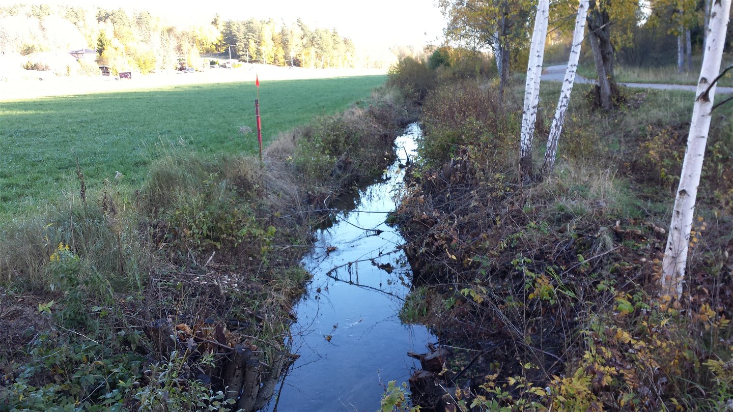 Idag återstår endast ett smalt dikat vattendrag, där den tidigare breda våtmarken låg.